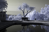 The Hui Pool in InfraRed