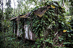 Overgrown shack in Kalani's Garden