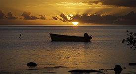 Sunset silhouette at Kapuaiwa Coconut Grove