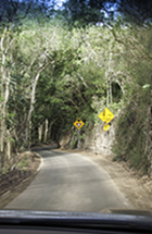 Narrow Road on the way to Halawa Valley